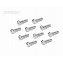 NiCo  Screws (Nickel Plated)